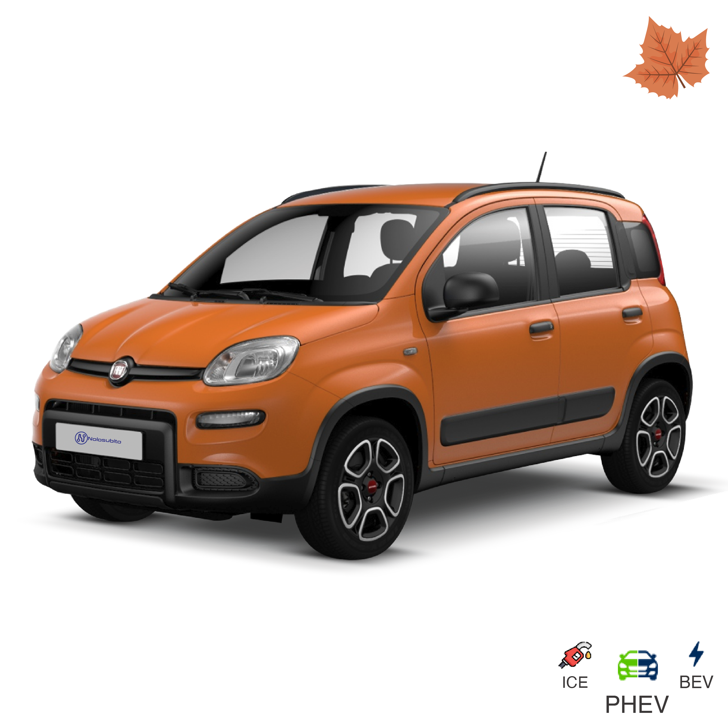 Fiat Panda 1.0 FireFly S&S Hybrid NeoPatentati